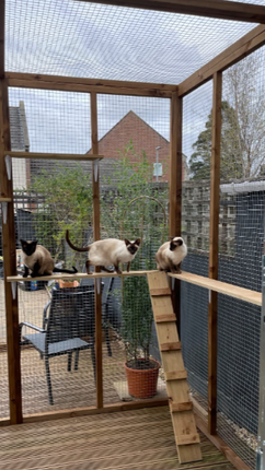 Handmade Wooden Catio with Outdoor Waterproof RGB Lighting - Custom Built for Happy Cats! Central Handmade Crafts